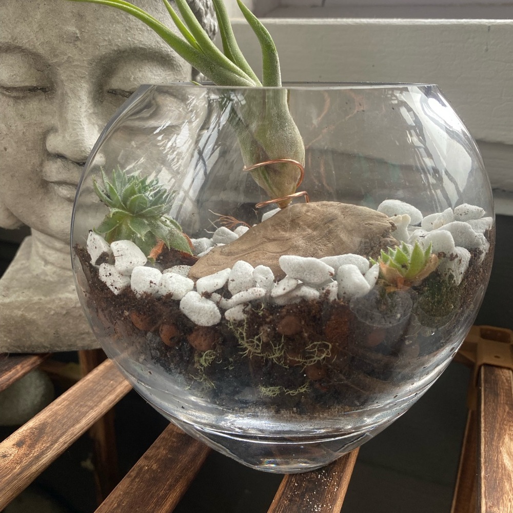 Crystal Terrarium with Succulents